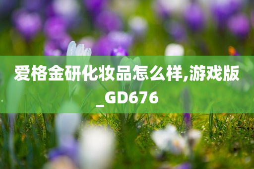 爱格金研化妆品怎么样,游戏版_GD676