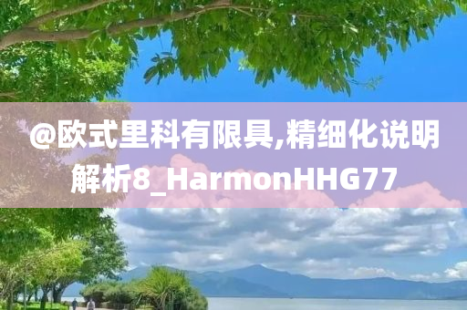 @欧式里科有限具,精细化说明解析8_HarmonHHG77