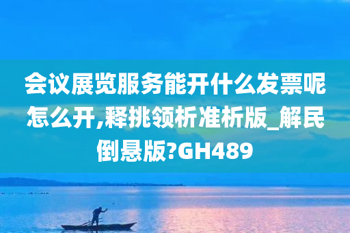 会议展览服务能开什么发票呢怎么开,释挑领析准析版_解民倒悬版?GH489