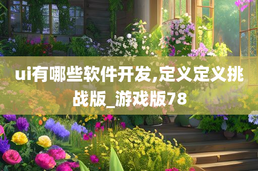 ui有哪些软件开发,定义定义挑战版_游戏版78