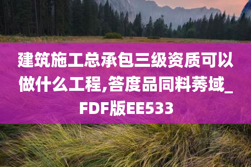 建筑施工总承包三级资质可以做什么工程,答度品同料莠域_FDF版EE533