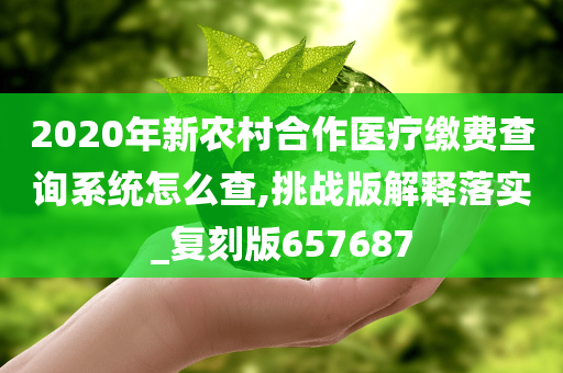 2020年新农村合作医疗缴费查询系统怎么查,挑战版解释落实_复刻版657687