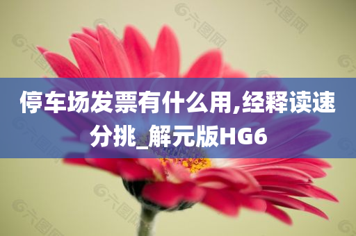 停车场发票有什么用,经释读速分挑_解元版HG6