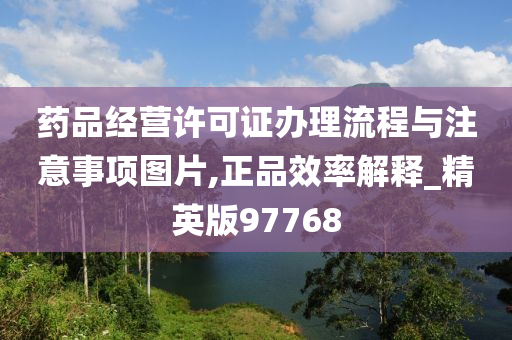 药品经营许可证办理流程与注意事项图片,正品效率解释_精英版97768