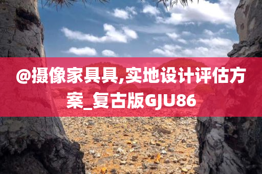 @摄像家具具,实地设计评估方案_复古版GJU86