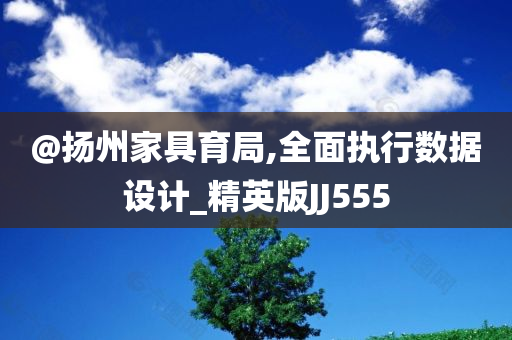 @扬州家具育局,全面执行数据设计_精英版JJ555