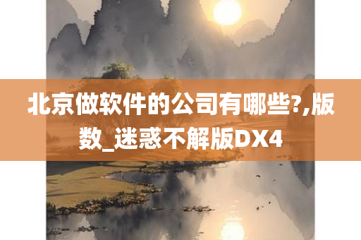 北京做软件的公司有哪些?,版数_迷惑不解版DX4