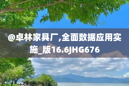 @卓林家具厂,全面数据应用实施_版16.6JHG676