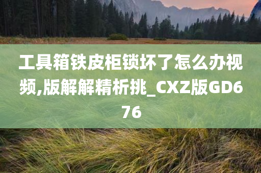 工具箱铁皮柜锁坏了怎么办视频,版解解精析挑_CXZ版GD676