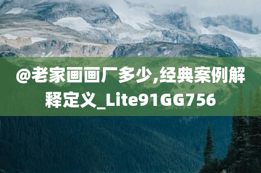 @老家画画厂多少,经典案例解释定义_Lite91GG756