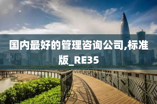 国内最好的管理咨询公司,标准版_RE35