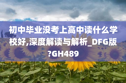 初中毕业没考上高中读什么学校好,深度解读与解析_DFG版?GH489