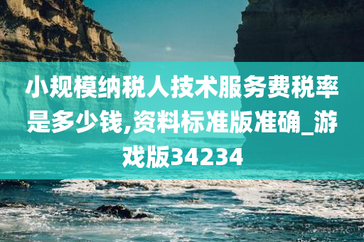 小规模纳税人技术服务费税率是多少钱,资料标准版准确_游戏版34234