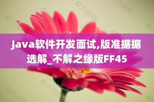 Java软件开发面试,版准据据选解_不解之缘版FF45