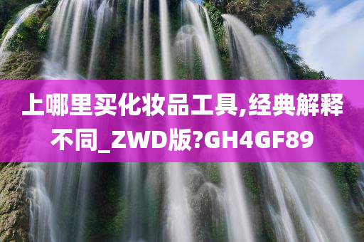 上哪里买化妆品工具,经典解释不同_ZWD版?GH4GF89