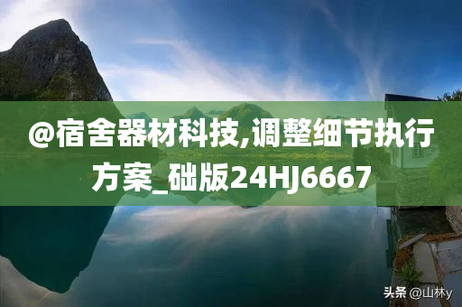 @宿舍器材科技,调整细节执行方案_础版24HJ6667