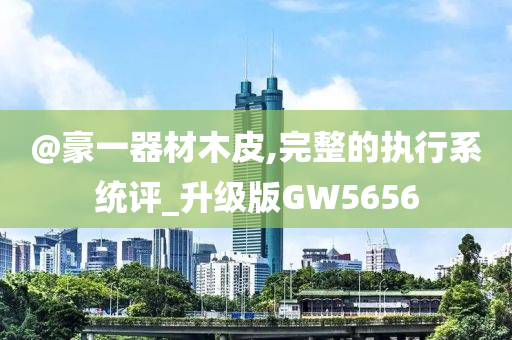 @豪一器材木皮,完整的执行系统评_升级版GW5656