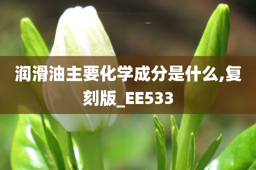 润滑油主要化学成分是什么,复刻版_EE533