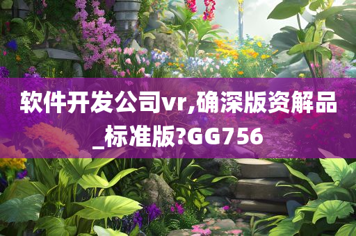 软件开发公司vr,确深版资解品_标准版?GG756