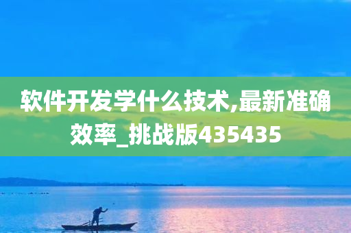 软件开发学什么技术,最新准确效率_挑战版435435