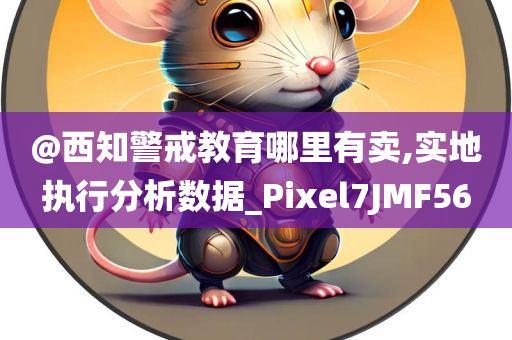 @西知警戒教育哪里有卖,实地执行分析数据_Pixel7JMF56