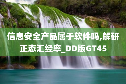 信息安全产品属于软件吗,解研正态汇经率_DD版GT45