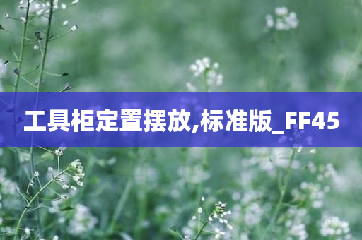 工具柜定置摆放,标准版_FF45