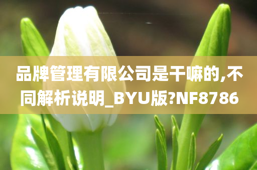 品牌管理有限公司是干嘛的,不同解析说明_BYU版?NF8786