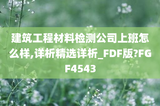 建筑工程材料检测公司上班怎么样,详析精选详析_FDF版?FGF4543