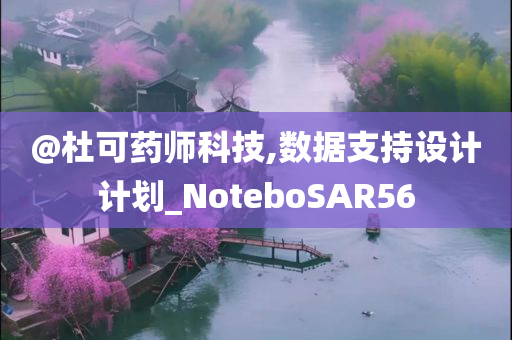 @杜可药师科技,数据支持设计计划_NoteboSAR56