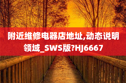 附近维修电器店地址,动态说明领域_SWS版?HJ6667