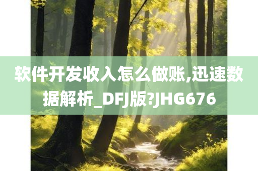 软件开发收入怎么做账,迅速数据解析_DFJ版?JHG676