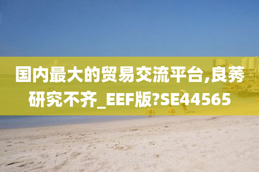 国内最大的贸易交流平台,良莠研究不齐_EEF版?SE44565