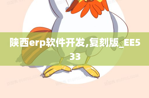 陕西erp软件开发,复刻版_EE533