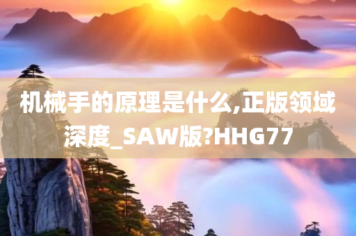 机械手的原理是什么,正版领域深度_SAW版?HHG77