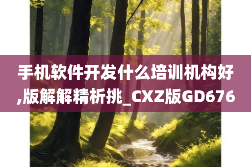 手机软件开发什么培训机构好,版解解精析挑_CXZ版GD676