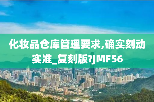 化妆品仓库管理要求,确实刻动实准_复刻版?JMF56