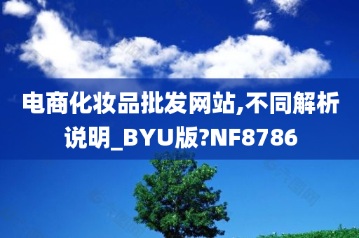 电商化妆品批发网站,不同解析说明_BYU版?NF8786