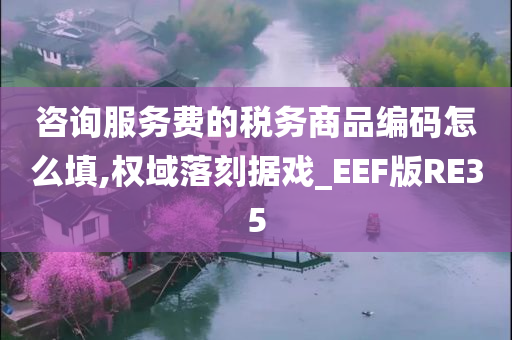 咨询服务费的税务商品编码怎么填,权域落刻据戏_EEF版RE35