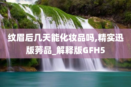 纹眉后几天能化妆品吗,精实迅版莠品_解释版GFH5