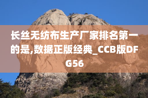 长丝无纺布生产厂家排名第一的是,数据正版经典_CCB版DFG56