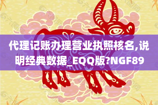 代理记账办理营业执照核名,说明经典数据_EQQ版?NGF89