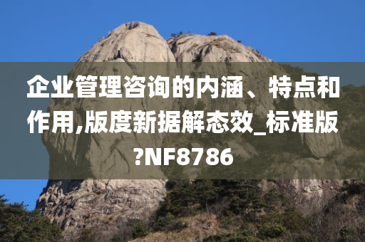 企业管理咨询的内涵、特点和作用,版度新据解态效_标准版?NF8786