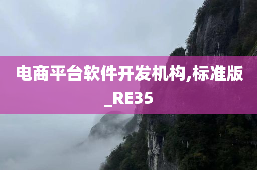 电商平台软件开发机构,标准版_RE35