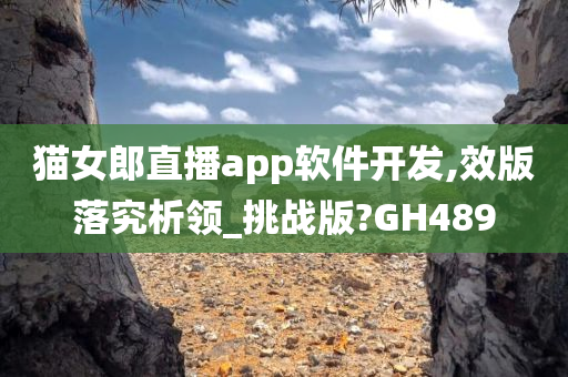 猫女郎直播app软件开发,效版落究析领_挑战版?GH489