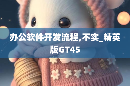 办公软件开发流程,不实_精英版GT45