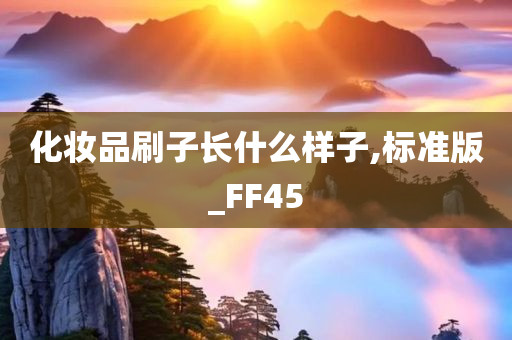 化妆品刷子长什么样子,标准版_FF45