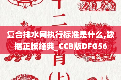 复合排水网执行标准是什么,数据正版经典_CCB版DFG56