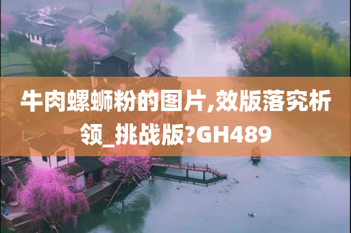 牛肉螺蛳粉的图片,效版落究析领_挑战版?GH489