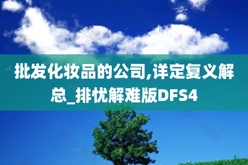 批发化妆品的公司,详定复义解总_排忧解难版DFS4